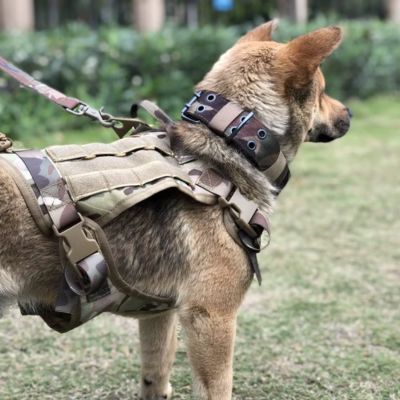 🐕 Découvrez notre harnais pour chien militaire ultra-résistant. Confort et sécurité garantis pour votre compagnon lors de toutes vos aventures !