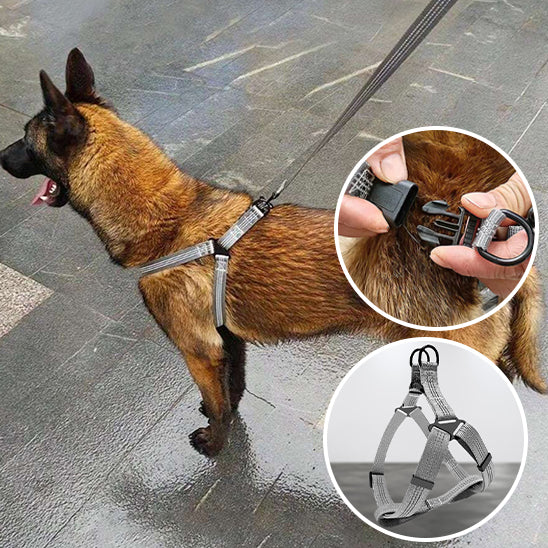 🐕 Découvrez notre harnais pour chien anti-traction : confort optimal, zéro étranglement et 2 anneaux de contrôle. Promenez votre animal en toute sécurité !