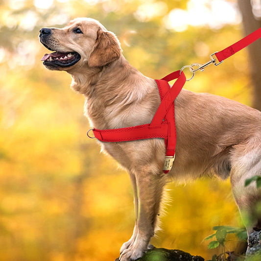 🐕 Découvrez notre harnais pour chien anti-traction : confort optimal, zéro étranglement et 2 anneaux de contrôle. Promenez votre animal en toute sécurité !