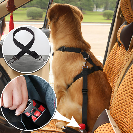 🐕 Découvrez notre harnais pour chien anti-traction : confort optimal, zéro étranglement et 2 anneaux de contrôle. Promenez votre animal en toute sécurité !