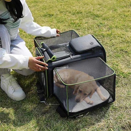 Porte-chien-vert-souple