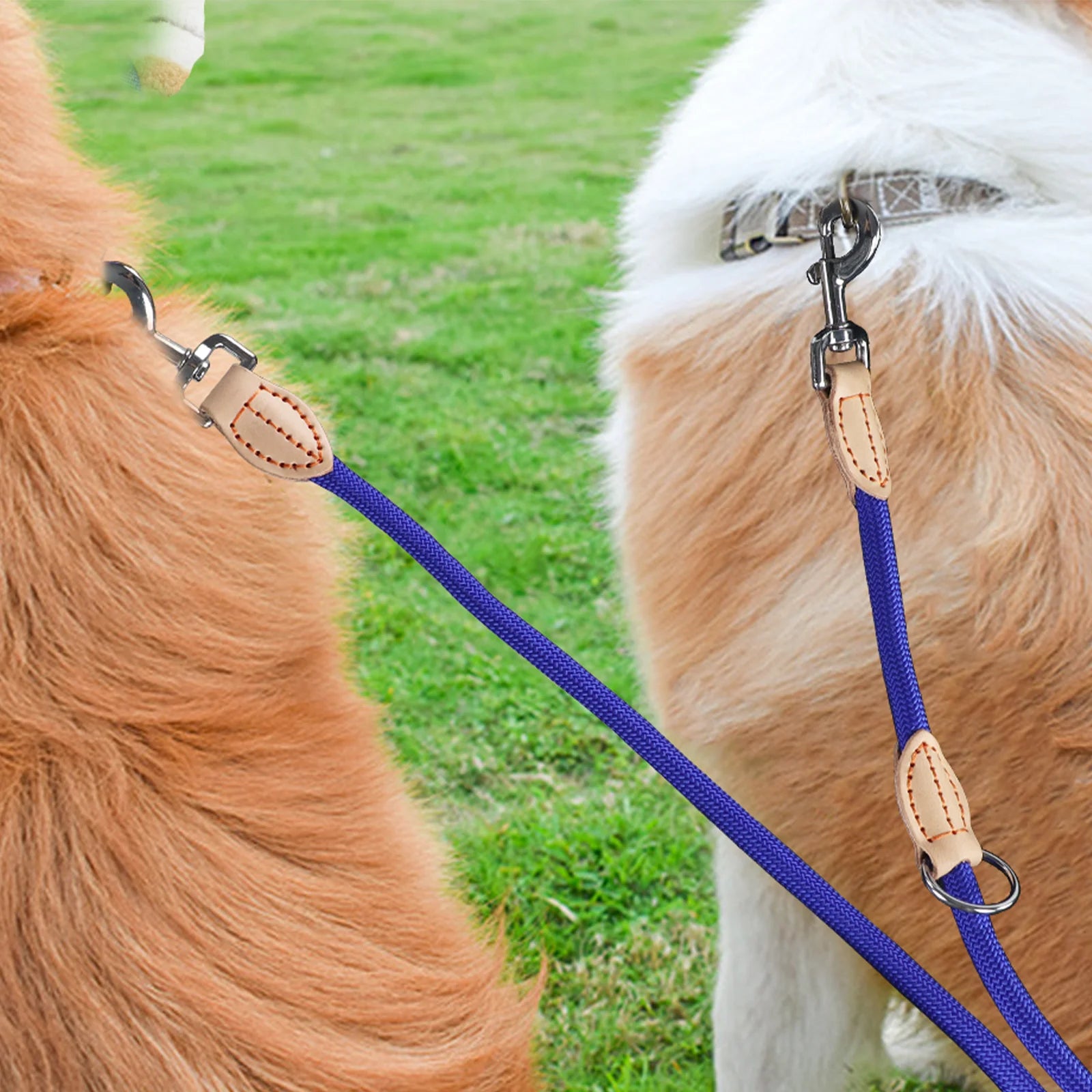 đ DĂ©couvrez notre laisse pour chien anti-emmĂȘlement : lĂ©gĂšre, rĂ©sistante et adaptable pour 2 chiens. Transformez vos promenades dĂšs aujourd'hui !