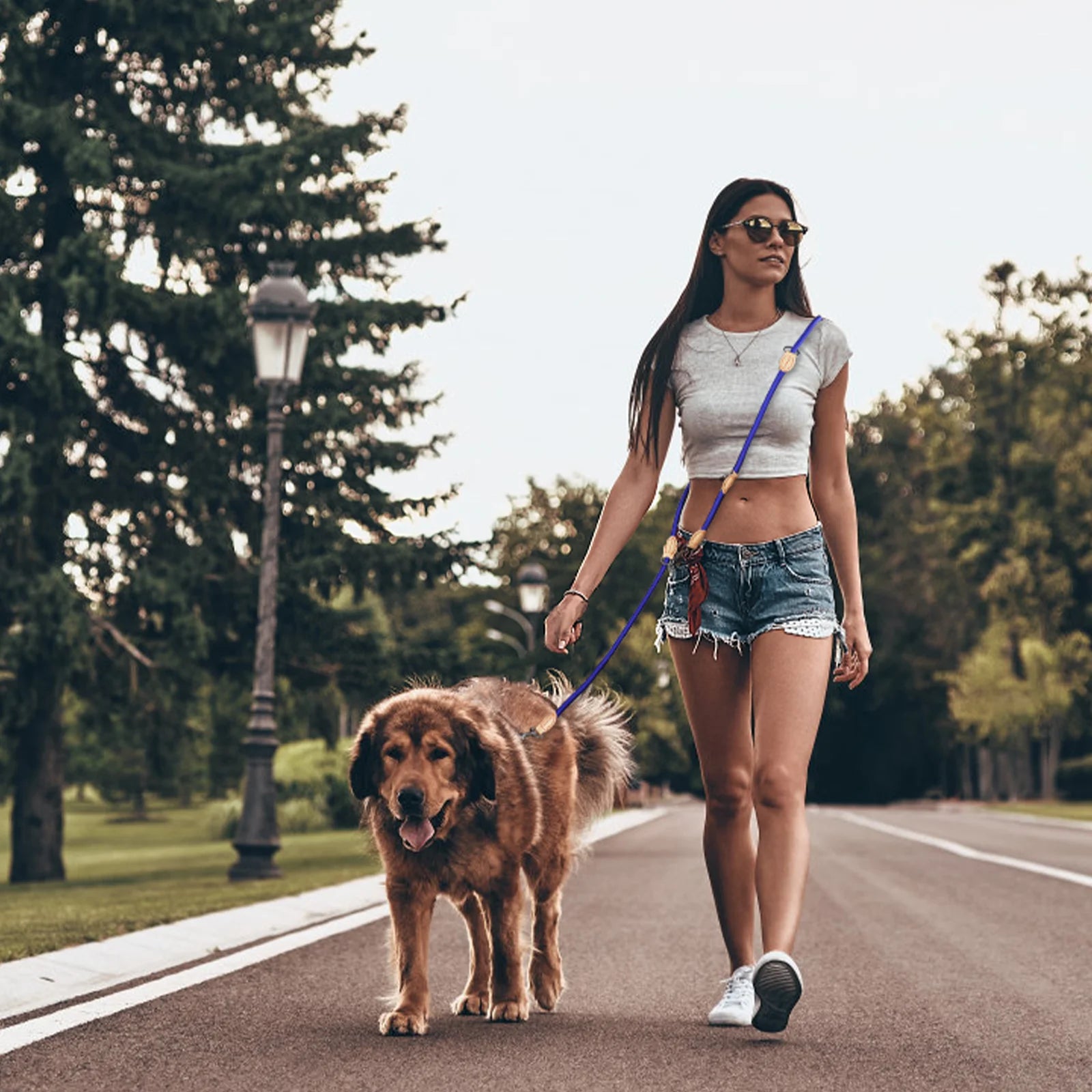 đ DĂ©couvrez notre laisse pour chien anti-emmĂȘlement : lĂ©gĂšre, rĂ©sistante et adaptable pour 2 chiens. Transformez vos promenades dĂšs aujourd'hui !