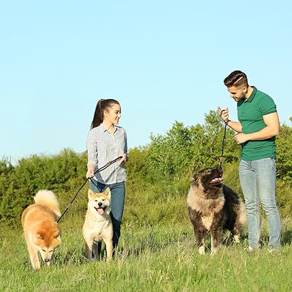 đ DĂ©couvrez notre laisse pour chien anti-emmĂȘlement : lĂ©gĂšre, rĂ©sistante et adaptable pour 2 chiens. Transformez vos promenades dĂšs aujourd'hui !