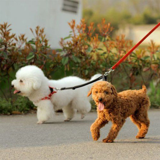🐶Laisse pour chien double coupleur : la solution idéale pour promener deux chiens. la solution parfaite pour les propriétaires de plusieurs chiens