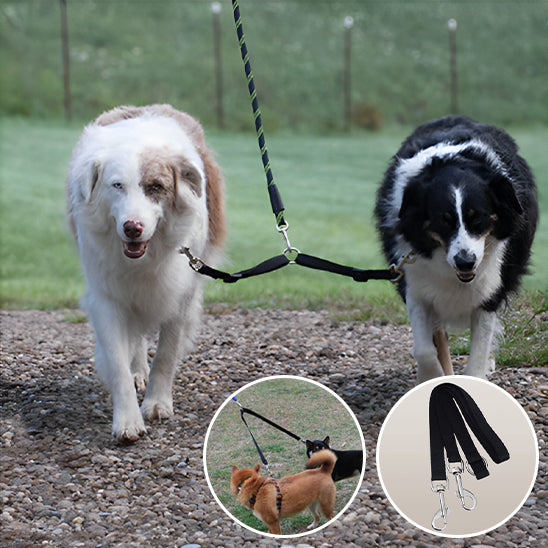 🐶Laisse pour chien double coupleur : la solution idéale pour promener deux chiens. la solution parfaite pour les propriétaires de plusieurs chiens.