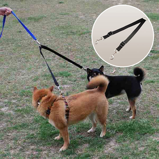 🐶Laisse pour chien double coupleur : la solution idéale pour promener deux chiens. la solution parfaite pour les propriétaires de plusieurs chiens. laisse-pour-chien-bleu-double-coupleur