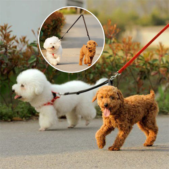 🐶Laisse pour chien double coupleur : la solution idéale pour promener deux chiens. la solution parfaite pour les propriétaires de plusieurs chiens. laisse-pour-chien-petit-double-coupleur