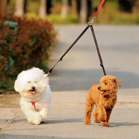 🐶Laisse pour chien double coupleur : la solution idéale pour promener deux chiens. la solution parfaite pour les propriétaires de plusieurs chiens.