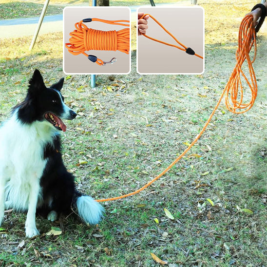🐕Laisse pour chien idéale : confort, contrôle et liberté   Découvrez notre laisse pour chien conçue pour offrir une expérience de promenade incomparable.