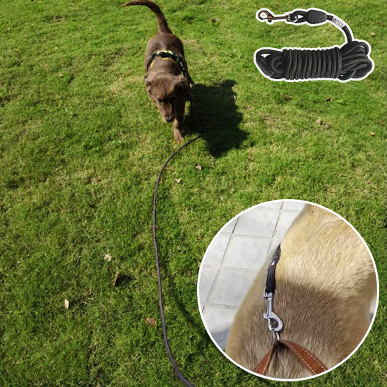 🐕Laisse pour chien idéale : confort, contrôle et liberté   Découvrez notre laisse pour chien conçue pour offrir une expérience de promenade incomparable.