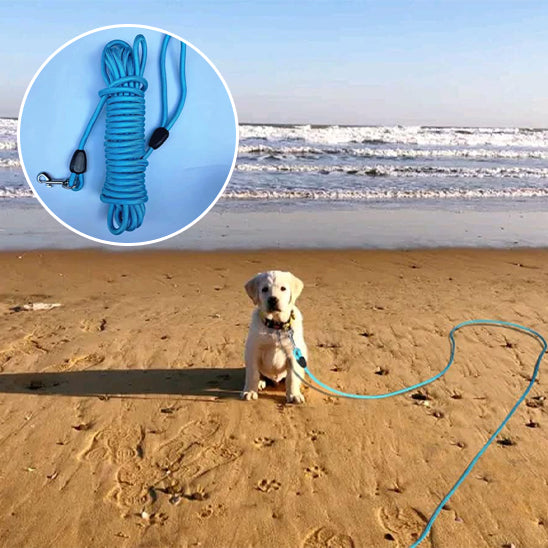 🐕Laisse pour chien idéale : confort, contrôle et liberté   Découvrez notre laisse pour chien conçue pour offrir une expérience de promenade incomparable.