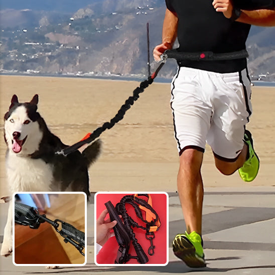 🐕 Découvrez notre laisse pour chien à double poignée : promenades sécurisées jusqu'à 50kg et contrôle optimal en ville comme en nature.