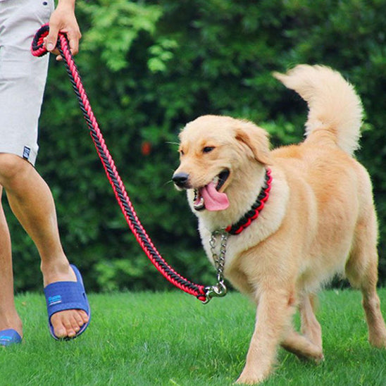 🐶Laisse renforcée pour chiens : sécurité et confort optimaux. La solution idéale pour les propriétaires de chiens exigeants. Robuste, elle offre un confort simple Laisse-pour-chien-rouge-renforcée