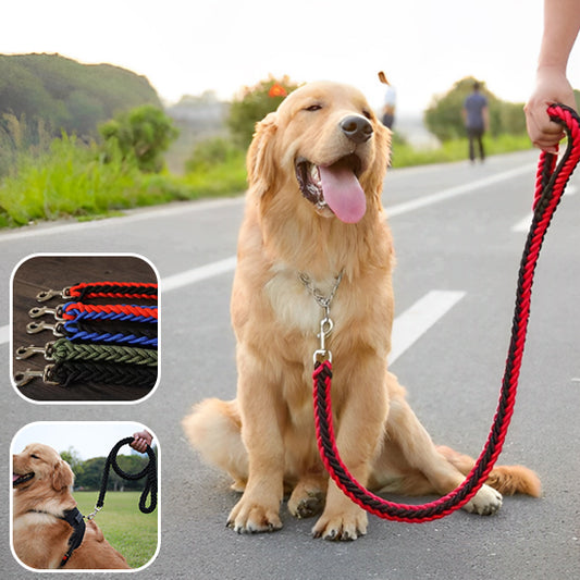 🐶 Découvrez notre laisse pour chien alliant confort et résistance. Profitez d'un contrôle optimal lors de vos balades tout en garantissant sécurité et liberté !