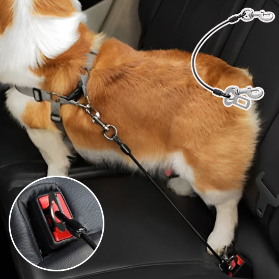 🐕 Sécurisez votre chien pendant vos trajets avec notre laisse spéciale voiture. Découvrez un accessoire robuste pour voyager en toute tranquillité ! Garantie satisfait ou remboursé.