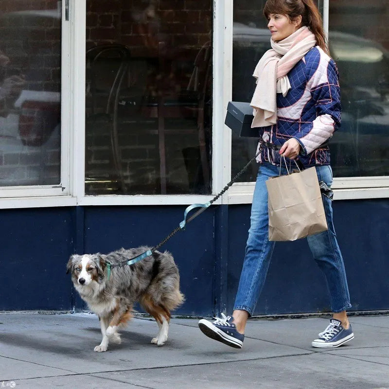 🐕 Découvrez notre laisse pour chien à double poignée : promenades sécurisées jusqu'à 50kg et contrôle optimal en ville comme en nature.