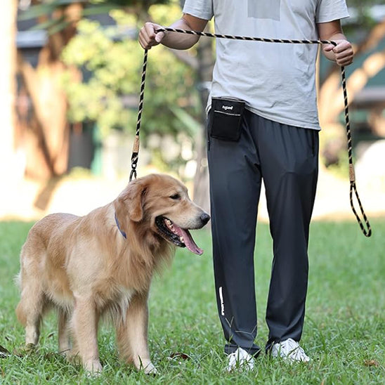 🐕 Découvrez notre laisse pour chien 8x plus résistante ! Idéale pour toutes vos aventures, du parc à la montagne. Sécurité et confort garantis !