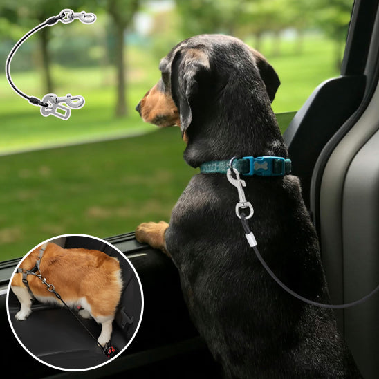 🐕 Sécurisez votre chien pendant vos trajets avec notre laisse spéciale voiture. Découvrez un accessoire robuste pour voyager en toute tranquillité ! Garantie satisfait ou remboursé.