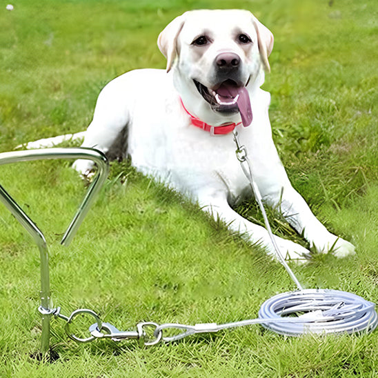 🐕 Découvrez notre laisse pour chien robuste résistant jusqu'à 75kg ! Garantie sécurité et liberté pour votre compagnon de 3 à 30m. Commandez dès maintenant !