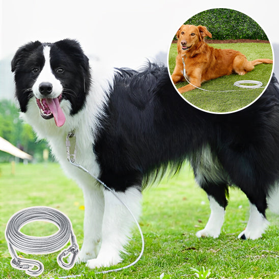 🐕 Découvrez notre laisse pour chien robuste résistant jusqu'à 75kg ! Garantie sécurité et liberté pour votre compagnon de 3 à 30m. Commandez dès maintenant !