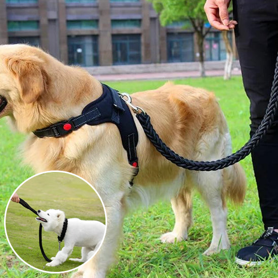 🐶 Découvrez notre laisse pour chien alliant confort et résistance. Profitez d'un contrôle optimal lors de vos balades tout en garantissant sécurité et liberté !