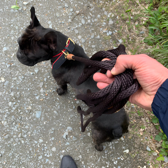 🐕 Découvrez notre laisse pour chien 8x plus résistante ! Idéale pour toutes vos aventures, du parc à la montagne. Sécurité et confort garantis !