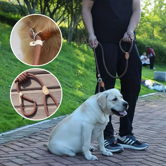 🐕 Découvrez notre laisse pour chien ajustable : contrôle parfait et confort optimal pour des promenades sereines.