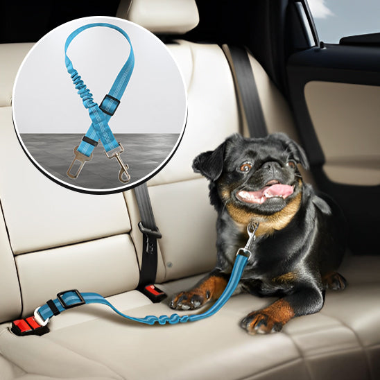 🐕 Découvrez notre laisse pour chien réglable qui protège votre compagnon lors des trajets en voiture. Commandez maintenant et voyagez en toute sécurité !