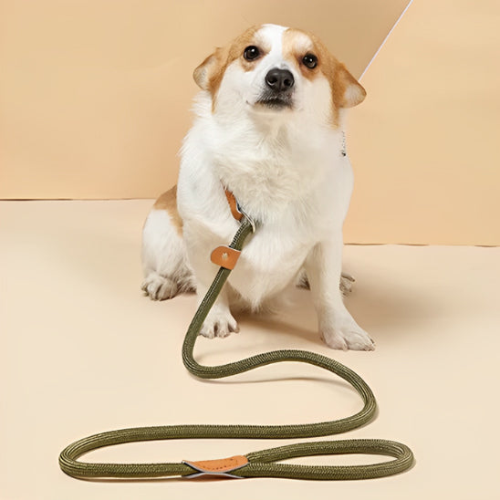 🐕 Découvrez notre laisse pour chien ajustable : contrôle parfait et confort optimal pour des promenades sereines.