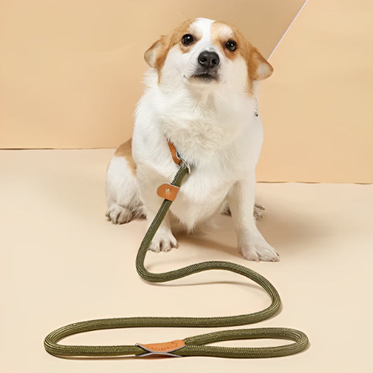 🐕 Découvrez notre laisse pour chien ajustable : contrôle parfait et confort optimal pour des promenades sereines.