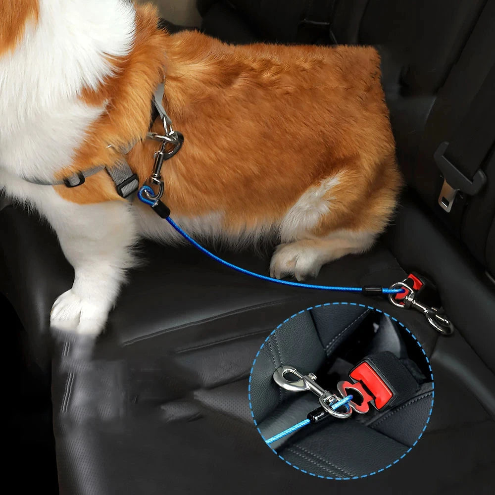 🐕 Sécurisez votre chien pendant vos trajets avec notre laisse spéciale voiture. Découvrez un accessoire robuste pour voyager en toute tranquillité ! Garantie satisfait ou remboursé.