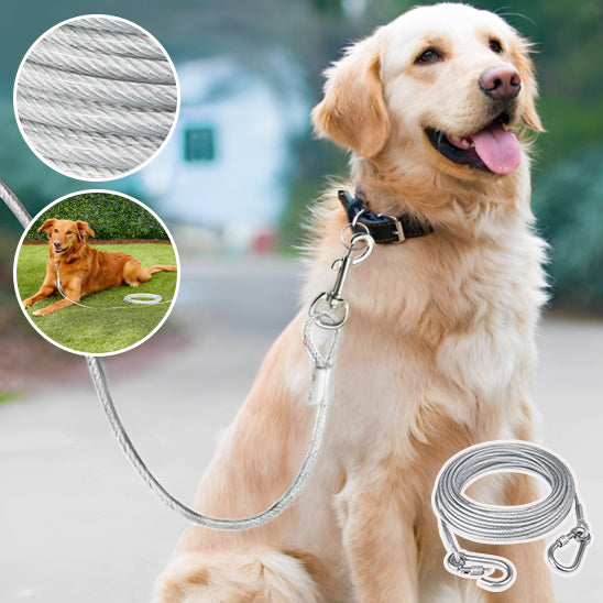 🐕 Découvrez notre laisse pour chien robuste résistant jusqu'à 75kg ! Garantie sécurité et liberté pour votre compagnon de 3 à 30m. Commandez dès maintenant !