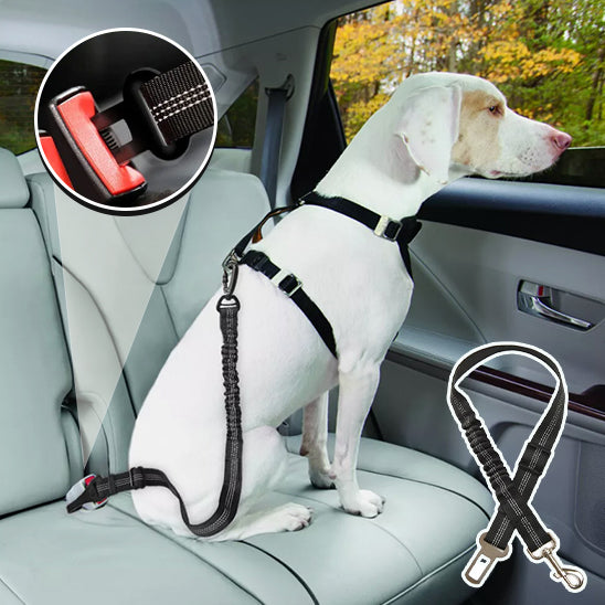 🐕 Découvrez notre laisse pour chien réglable qui protège votre compagnon lors des trajets en voiture. Commandez maintenant et voyagez en toute sécurité !