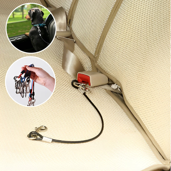đ SĂ©curisez votre chien pendant vos trajets avec notre laisse spĂ©ciale voiture. DĂ©couvrez un accessoire robuste pour voyager en toute tranquillitĂ© ! Garantie satisfait ou remboursĂ©.