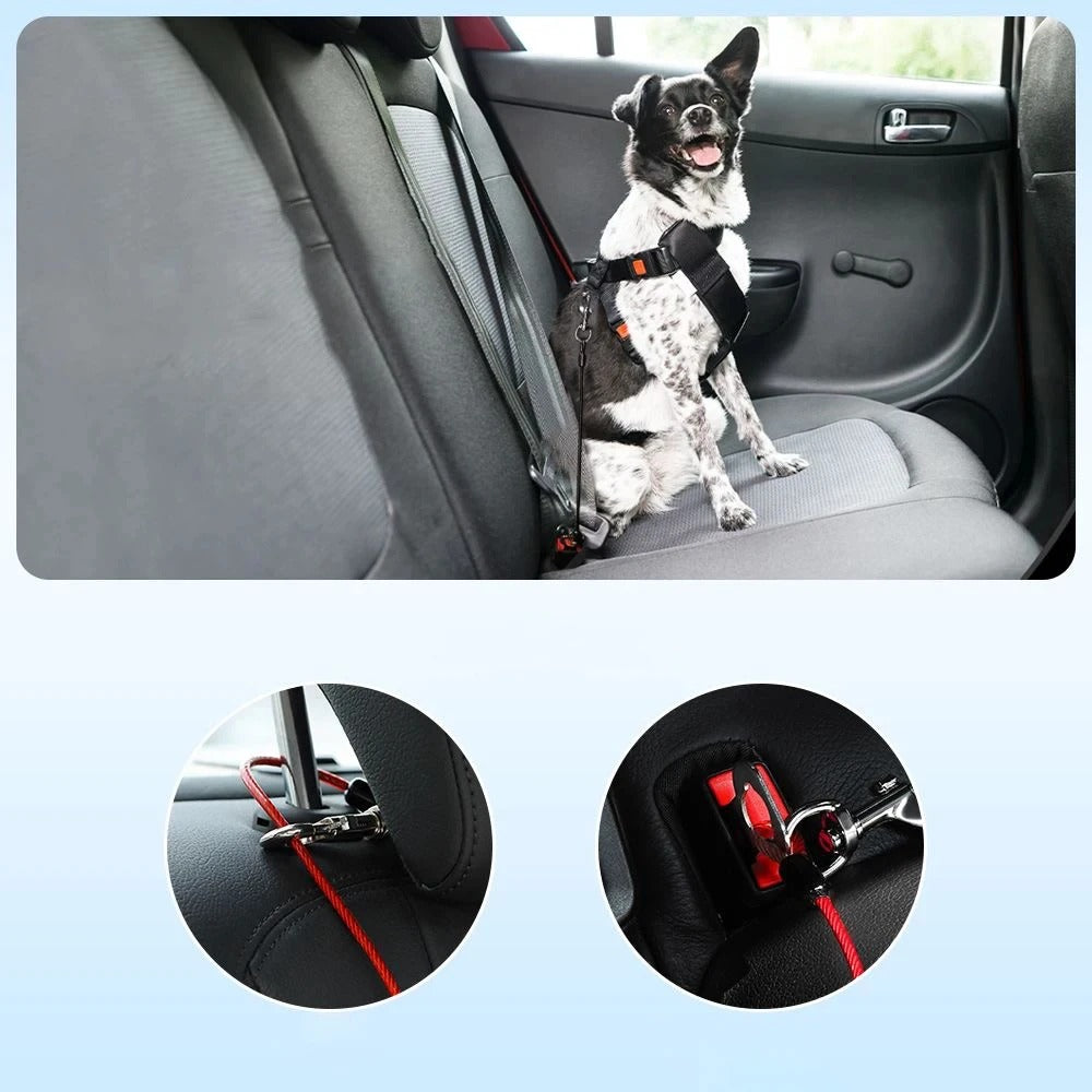 🐕 Sécurisez votre chien pendant vos trajets avec notre laisse spéciale voiture. Découvrez un accessoire robuste pour voyager en toute tranquillité ! Garantie satisfait ou remboursé.