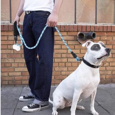 🐕 Découvrez notre laisse pour chien réfléchissante ! Promenez votre compagnon en toute sécurité avec notre produit durable et confortable.