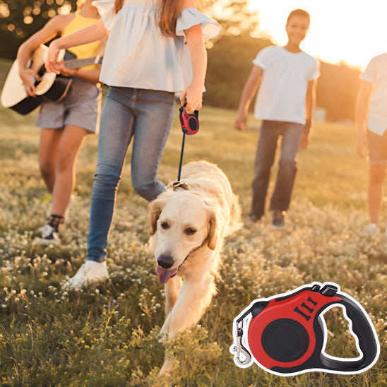 🐕 Découvrez notre laisse pour chien innovante : sécurité maximale et confort optimal pour vos promenades. Ajustable et durable,