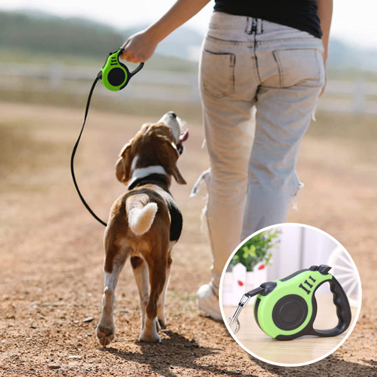 🐕 Découvrez notre laisse pour chien innovante : sécurité maximale et confort optimal pour vos promenades. Ajustable et durable,