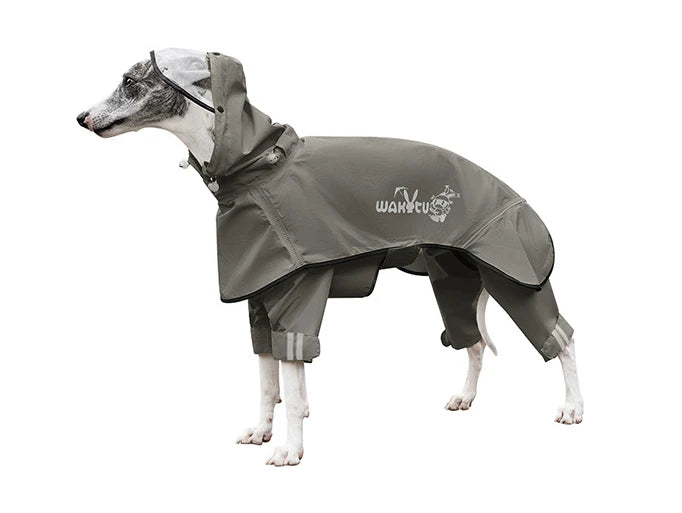 manteau pour chien imprmeable gris