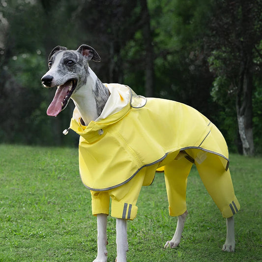 🐕 Protégez votre chien du froid et de la pluie avec notre manteau pour chien imperméable. Confort optimal et style garanti. Commandez dès maintenant !