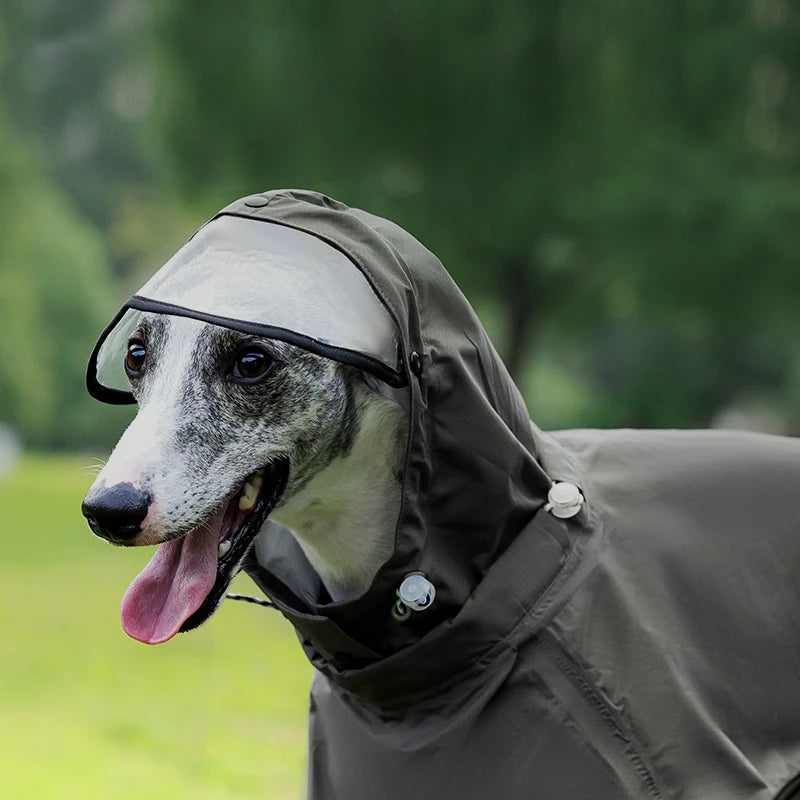 đ ProtĂ©gez votre chien du froid et de la pluie avec notre manteau pour chien impermĂ©able. Confort optimal et style garanti. Commandez dĂšs maintenant !
