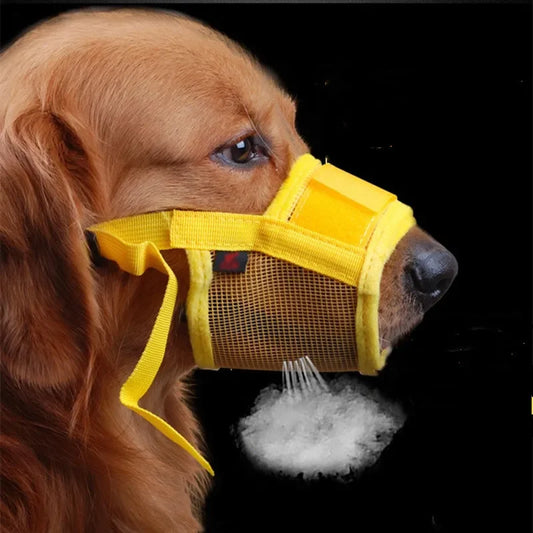 🐕 Découvrez notre muselière pour chien respirante et ajustable. Promenez votre compagnon en toute sérénité sans compromettre son confort respiratoire !