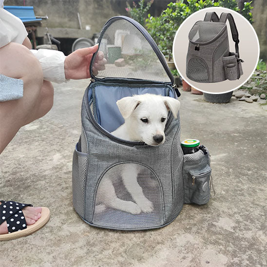 sac-a-dos-gris-petit-chien