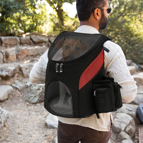 sac-a-dos-promenade-petit-chien