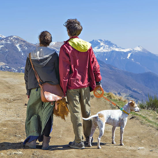 🐕 Découvrez notre laisse pour chien d'entraînement robuste et polyvalente. Contrôle parfait et liberté de mouvement pour votre compagnon.