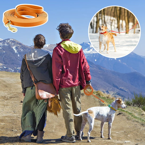 🐕 Découvrez notre laisse pour chien d'entraînement robuste et polyvalente. Contrôle parfait et liberté de mouvement pour votre compagnon.