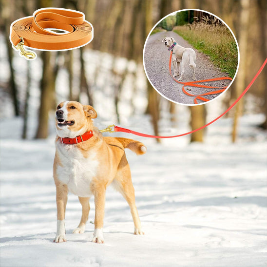 🐕 Découvrez notre laisse pour chien d'entraînement robuste et polyvalente. Contrôle parfait et liberté de mouvement pour votre compagnon.
