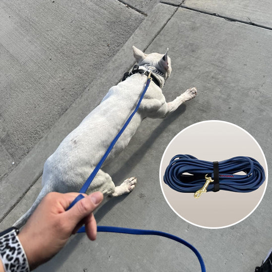 🐕 Découvrez notre laisse pour chien longue : liberté et sécurité pour votre compagnon. Résiste jusqu'à 180kg de traction !
