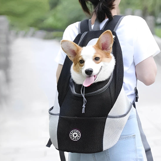 🐶Découvrez notre sac de transport pour chien, la solution parfaite pour emmener votre fidèle compagnon partout avec vous. Pour toutes les saisons. Confortable